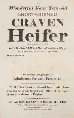 002 Main St Craven Heifer 1811 sale poster