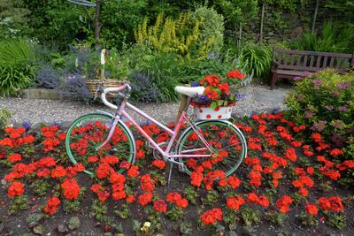 Tour de France 2014 Decorated bikes Hen Pen Garden