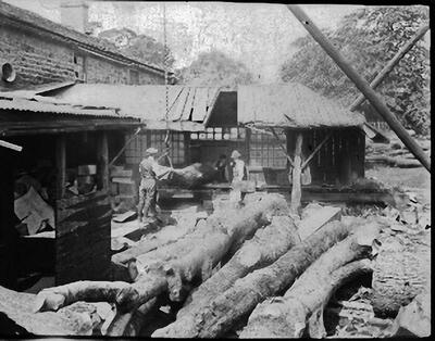Sawmill 1920s - using the Rack Saw bench