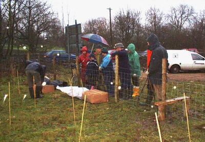 Marchup Ghyll 2003-11 Tree planting 01