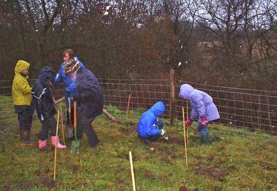 Marchup Ghyll 2003-11 Tree planting 03