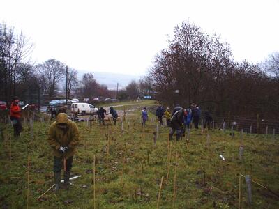 Marchup Ghyll 2003-11 Tree planting 08