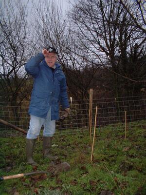 Marchup Ghyll 2003-11 Tree planting 09