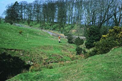 Reynard Ing Farm 1993 Smithy Hill