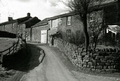 Lane House 1971