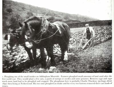 Netherwood House ploughing about 1890.