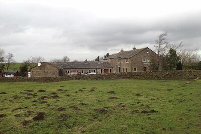 Slade Farm in 2017