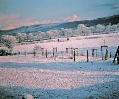 Reynard Ing Farm 1985 snow