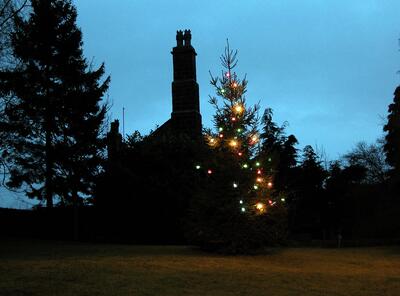 Lights 2004 - Christmas Tree Sugar Hill