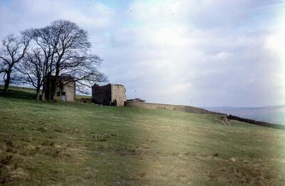 Barns 1980s